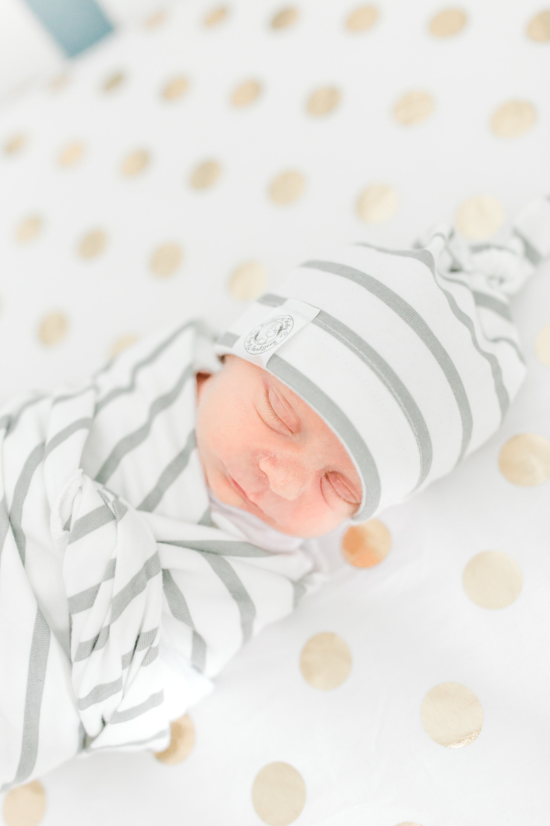Luxury Milwaukee Newborn Photographer
