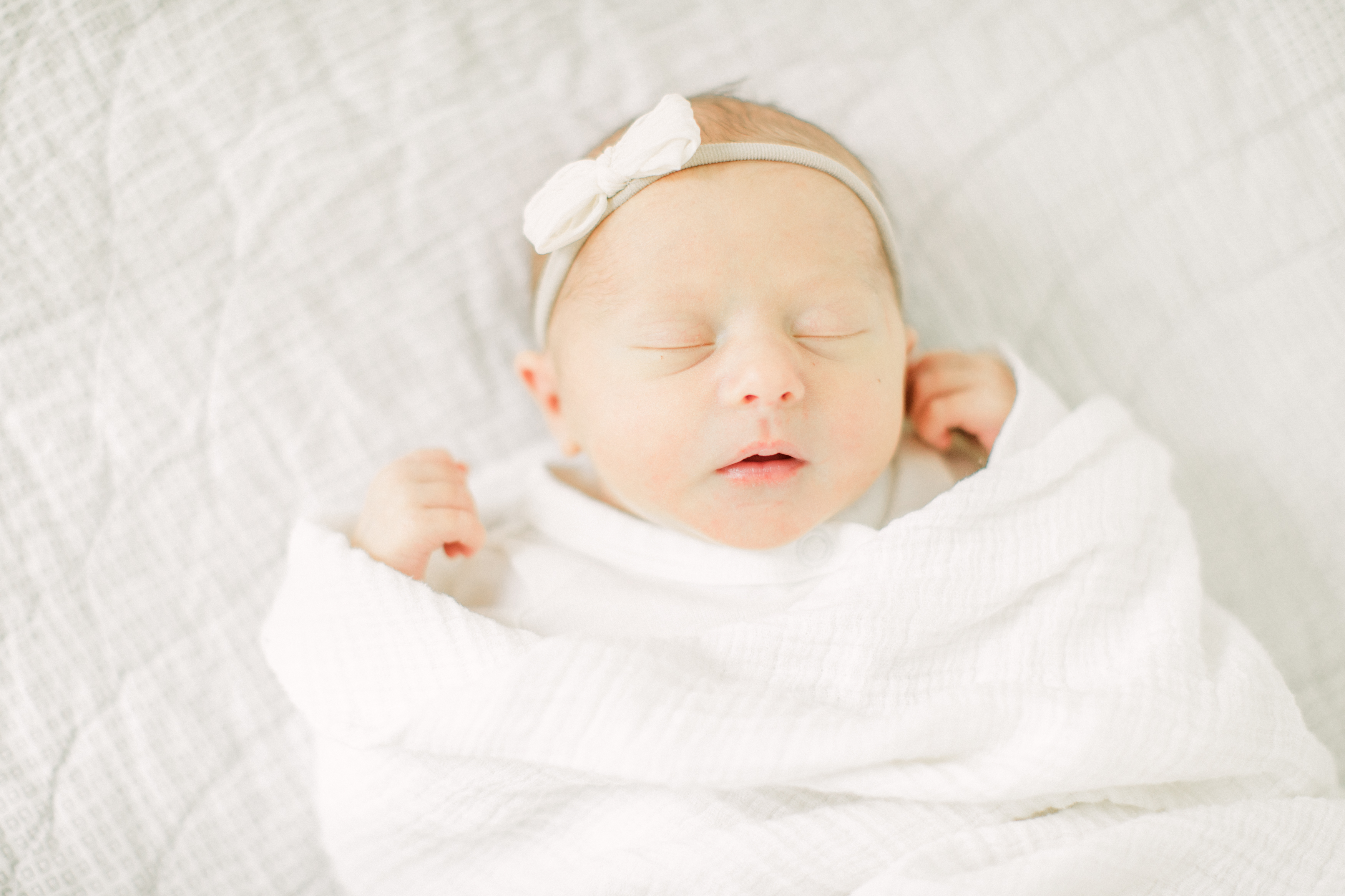 Madison WI Newborn Photographer