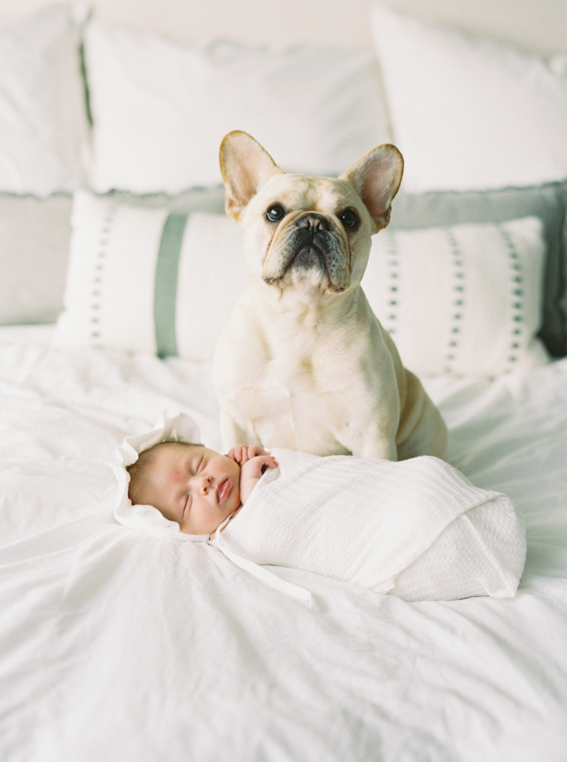 Family dog cuddling baby in a beautiful, bright bedroom