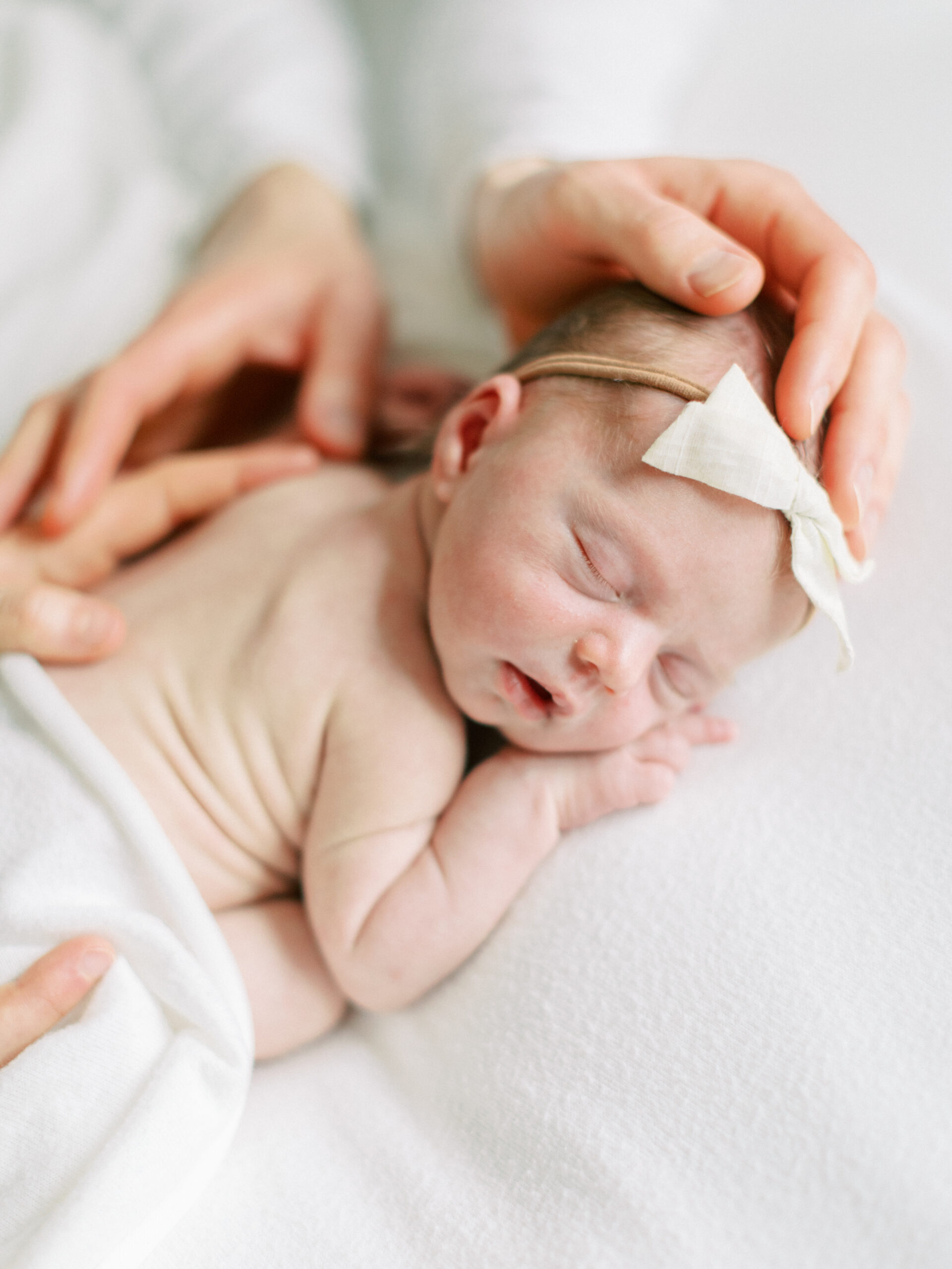 newborn baby posed sleeping in a studio in Milwaukee, photographed by Talia Laird Photography